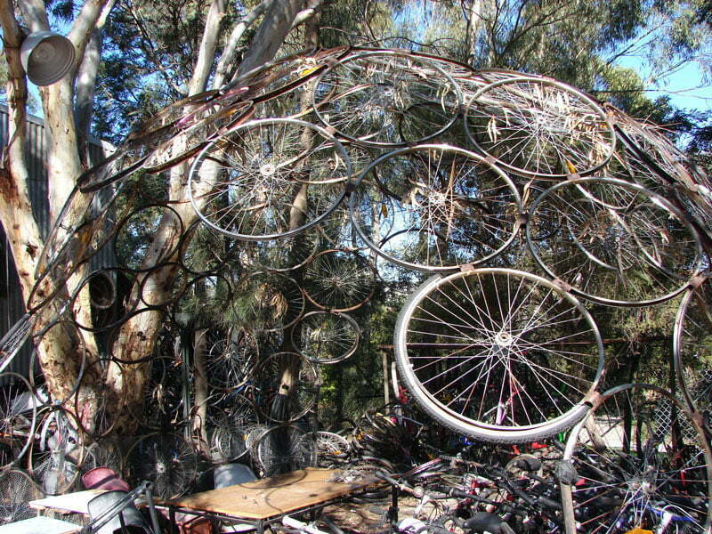 Bike wheels, dome, gum tree, sustainable