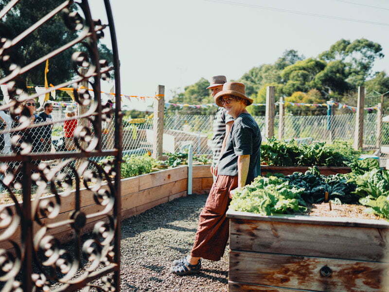 People, garden, vegetables, fence, sunlight