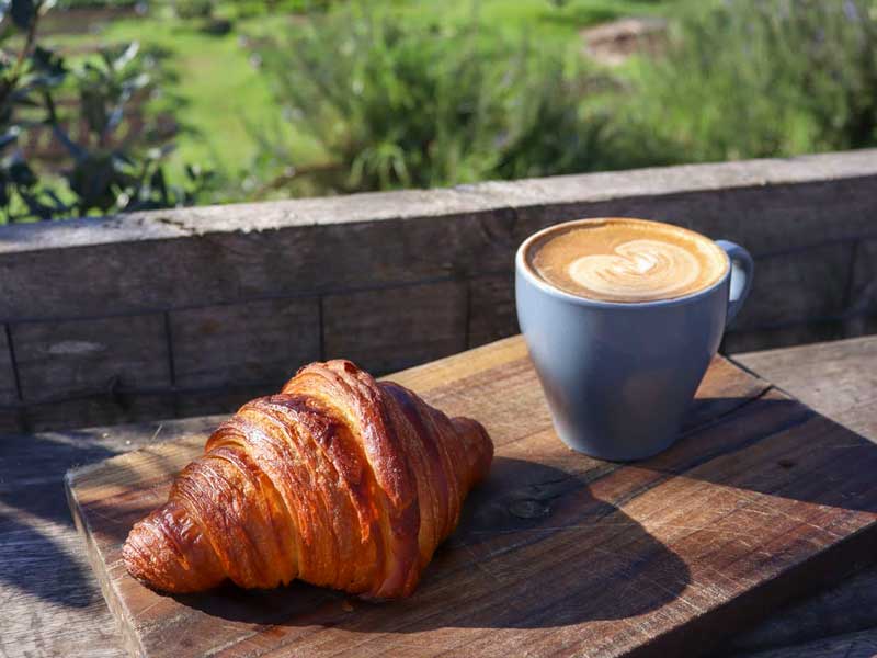 Coffee, pastry, croissant, organic, outdoors