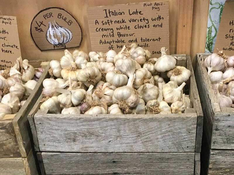 garlic, box, homegrown, organic