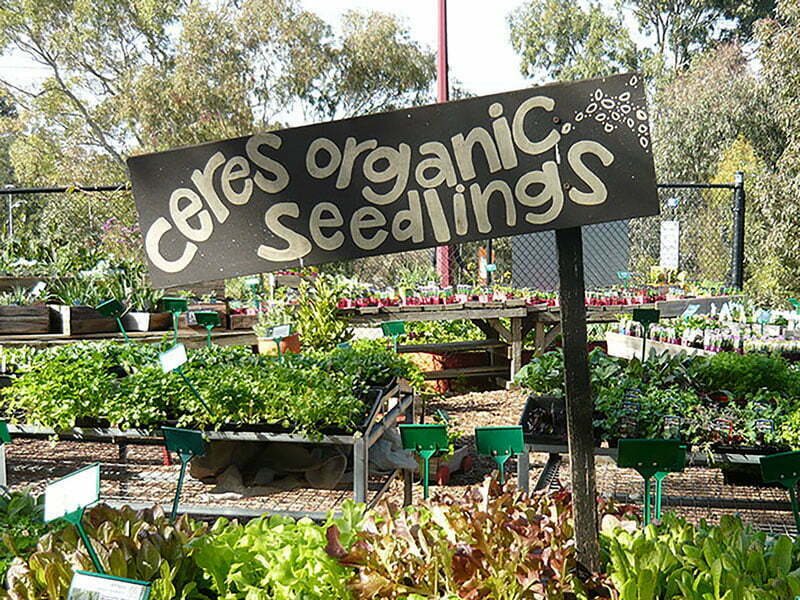 CERES, Organic seedlings, nursery, greenery