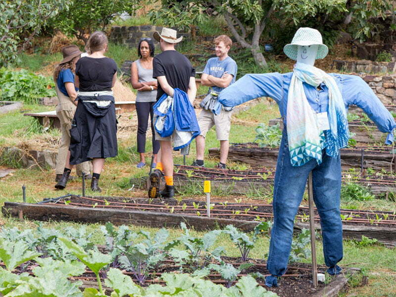 Farming, scarecrow, group of students, learning