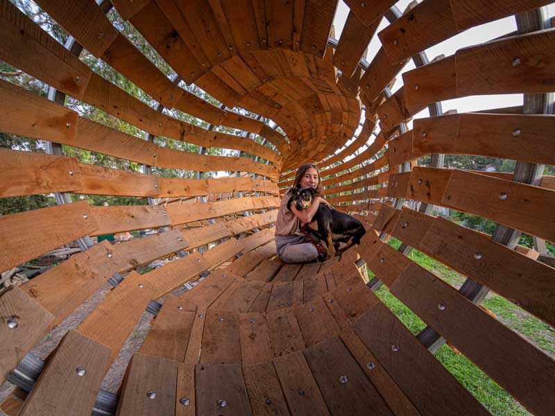 Playspace, inside, wooden, dog