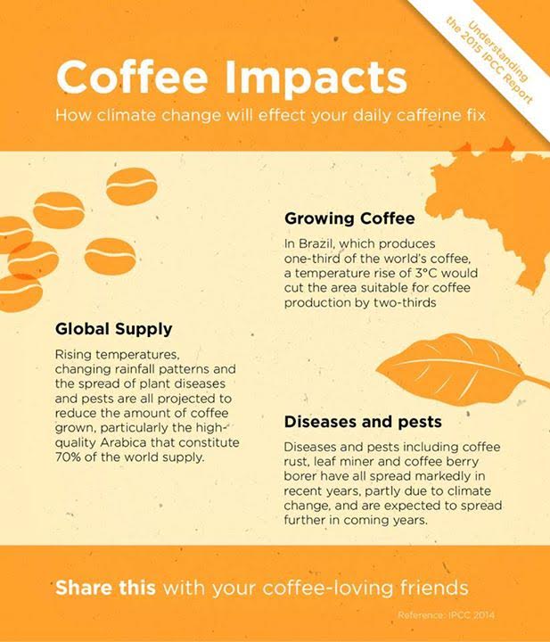 impacts of climate change on coffee infographic