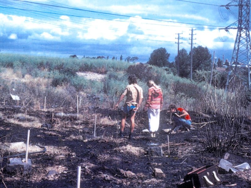 Old photo, people standing on old waste land