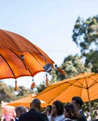 Umbrella, orange, outside, festive