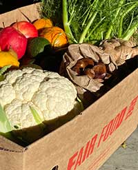 Winter vegetables, cardboard box, sunlight, chesnuts