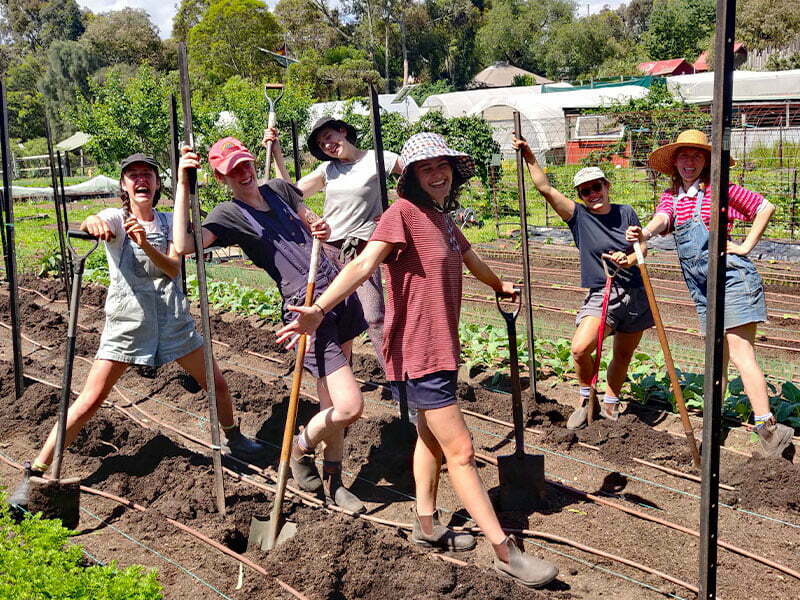 Young people standing in a veggie patch