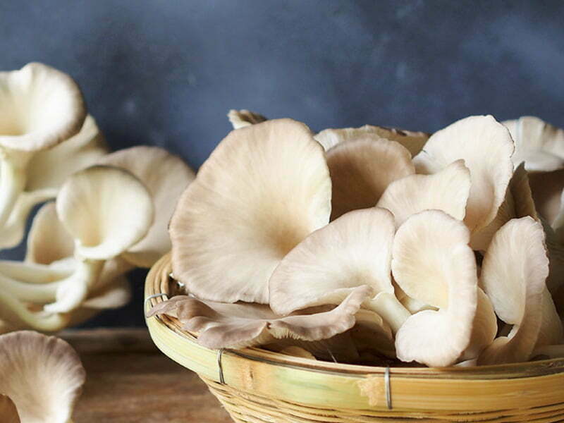 Mushrooms home-grown